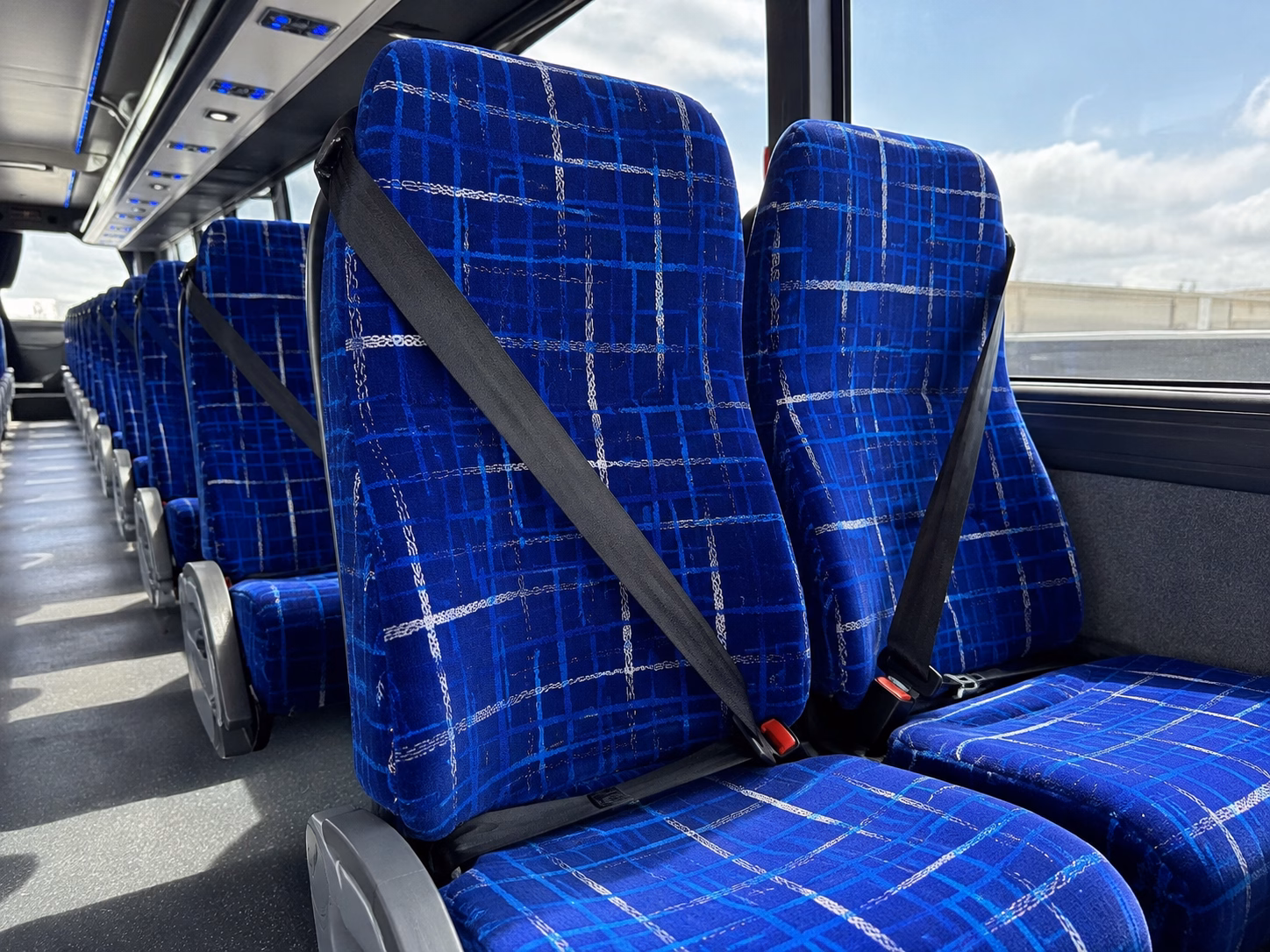minnesota zoo charter buses for twin cities school groups